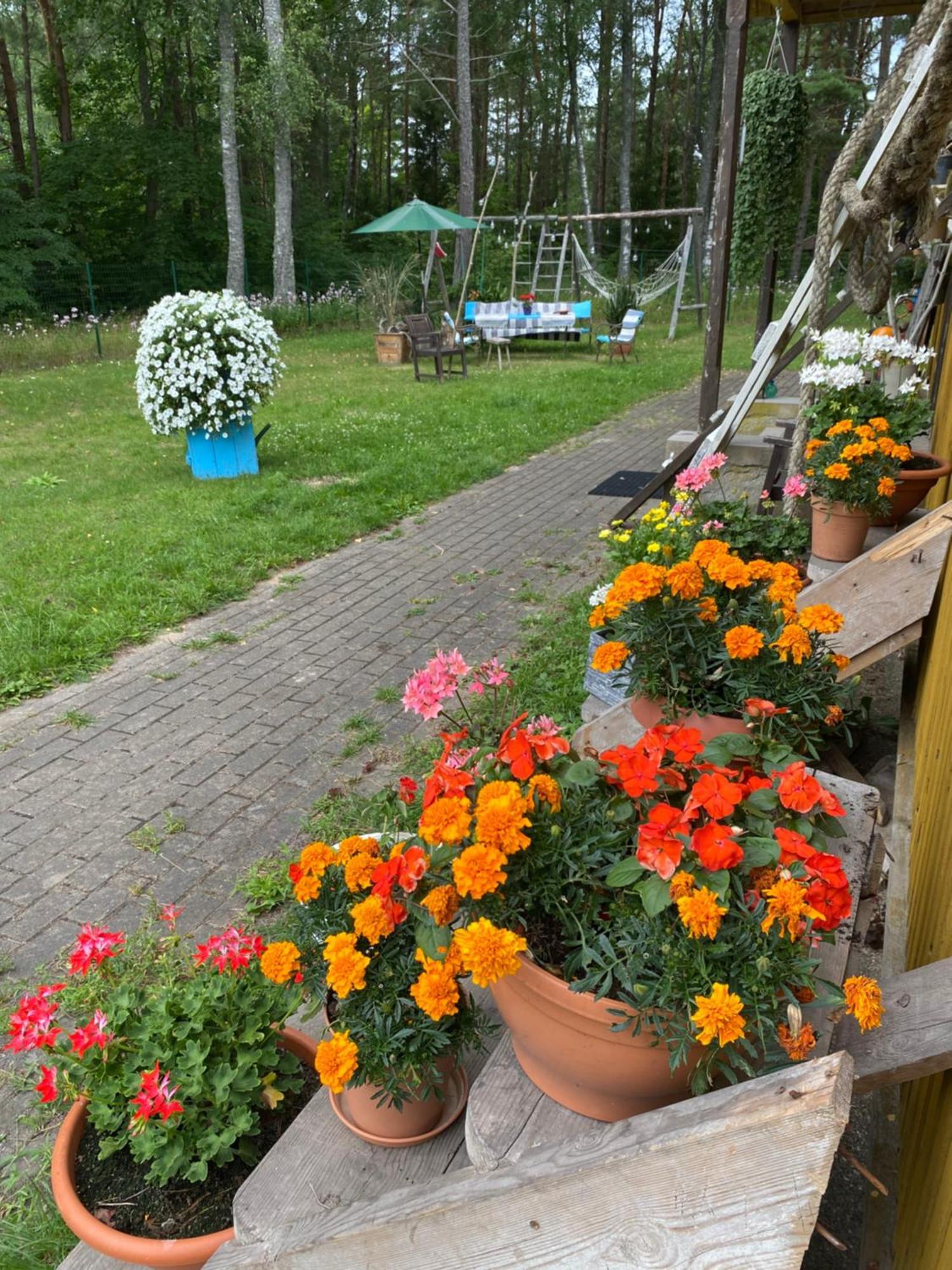 Torgu Royal Guesthouse Iide Dış mekan fotoğraf